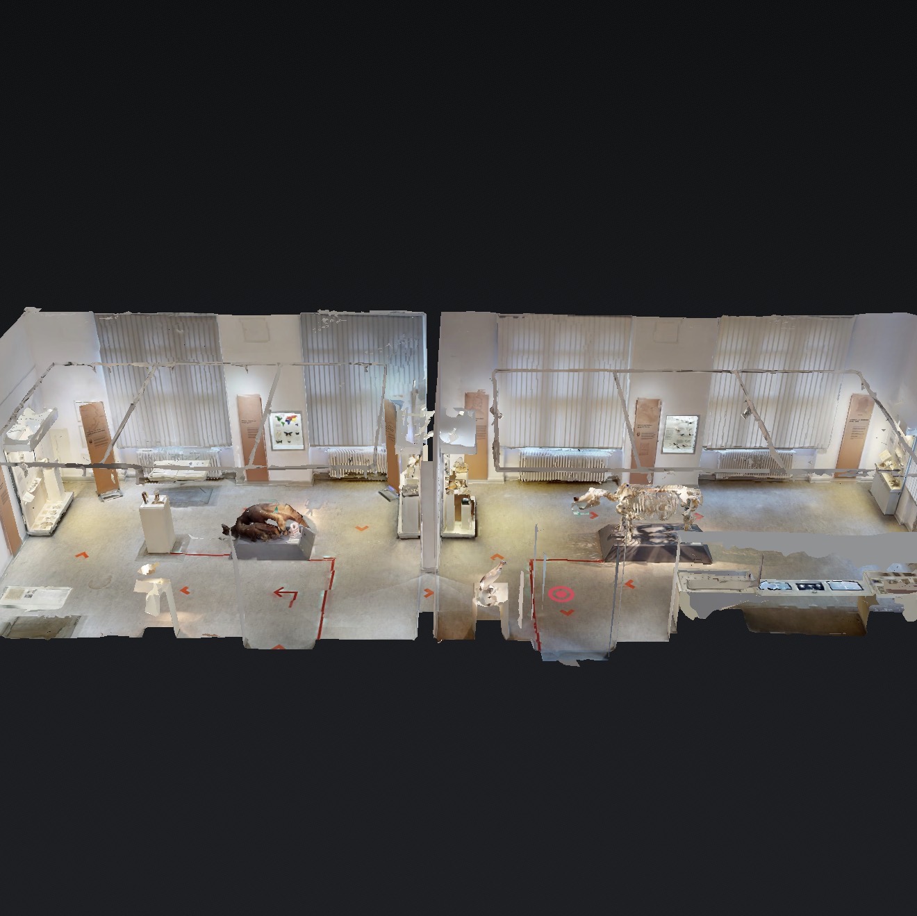 Where Biology Takes Form – 3D-Modell der Ausstellung